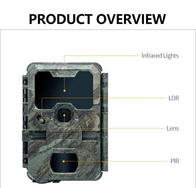 China Keepguard High-end maar concurrerende prijs Trail camera fabriek-verkoop OEM ODM 32MP 4K Jagen Wildlife camera Te koop