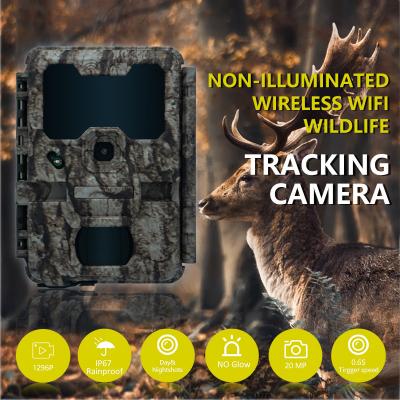 China KW865 WIFI verborgen camera waterdicht IP67 20MP 0.6s trigger snelheid tot 512GB opslag nachtzicht trail Camera Te koop