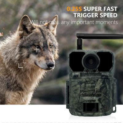 China 4G hunting trail camera KW895 with APP 2K FHD Video 30MP image waterproof IP67 up to 512GB storage for wildlife research for sale