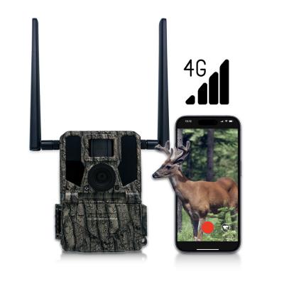 China Hunting & Trail Cameras Solar Panel 4G Wireless Camera KW897 with Dual Antennas 100ft Night Range 36MP 2K Video at 30fps for sale