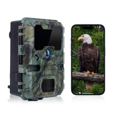 China Trail Camera With Small Size KW788 0.1s Response 32MP sharp Image 4K Video Waterproof IP67 up to 512GB for Wildlife Watching for sale