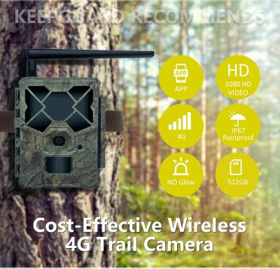 China Game&trail Camera 4G KW886 with Antenna Cost-Effective Hunting Camera 24MP 1080P Night Vision 0.1s Response Time Game Camera for sale