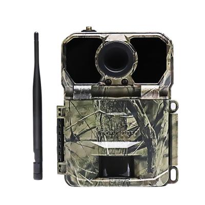 Chine 3G camouflent la caméra de traînée de la vision nocturne IP67 MMS 48 LED de 16MP Support Macro Lens avec FCC/WEEE/CE/RoHs à vendre