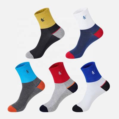 China Fashion Breathable Wholesale Color Socks Casual Mens Combed Cotton Socks Embroidery for sale