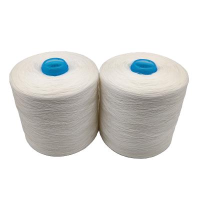 China Best Quality High Tenacity Polyester Bag Closing Thread Sewing Thread for sale