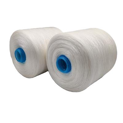 China China Factory High Tenacity High Tenacity Raw White Nylon 6 66 Glued Sewing Thread 6 66 en venta