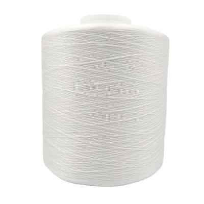 China 250D/3 waterproof sewing thread Chinese supplier high color tenacity nylon sewing thread for sale for sale