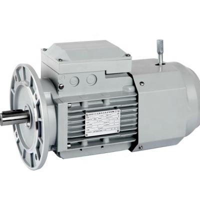 China Y2 56M12 0.09kw Waterproof Electric Stern Shaft Motor Electric Motor For Inflatable Boat 5.5kw Electric Motor for sale