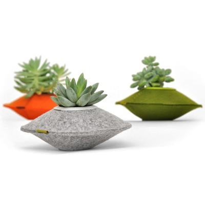 China Modern Indoor Home Office Nonwoven Fabric Felt Planters Small Succulent Flower Pot for sale