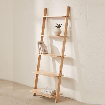 China (Other) OEM 5-Story Adjustable Natural Pine Wood Ladder Tilt Shelf Storage Shelves For Wall for sale