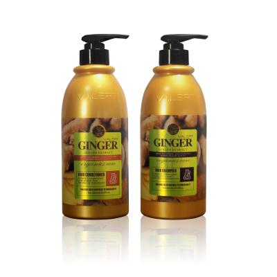 China OEM/ODM Anti-itch Anti-itch Customized Natural Organic Ginger Extract Hair Shampoo And Anti-Dandruff Loss Prevention Conditioner for sale