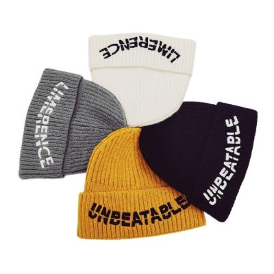 China Custom Embroidery COMMON Logo Rib Winter Kit Hats Outdoor Solid Color Warm Customize Beanies For Women And Men for sale