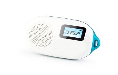 China OEM ODM Hi-End Active FM / TF LCD Display Bluetooth Wireless Speaker for sale