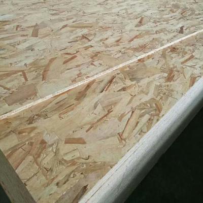 China Modern Construction OSB OSB3 And Furniture Board OSB Sheet To South America Dongstar 12mm 18mm for sale