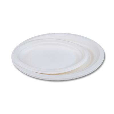 China Soak proof/Mmicrowave safe/Cut Resistant Big Compostable Oval Plates 12.5X10 Disposable Bio Degradable Plate Bagasse Tableware for sale