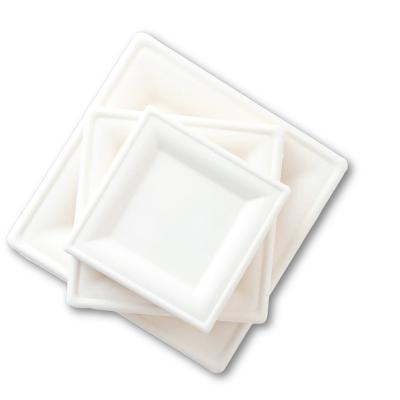 China Soak proof/Mmicrowave safe/Cut Resistant Compostable Square Plates 6 Sugarcane Bagasse Plate Biodegradable Disposable Dishes for sale