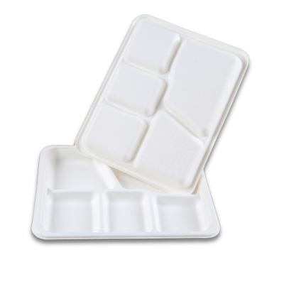 China Soak proof/Mmicrowave safe/Cut Resistant 5-Compartment Compostable Tray White Sugarcane Meat Pulp Bagasse Trays for sale