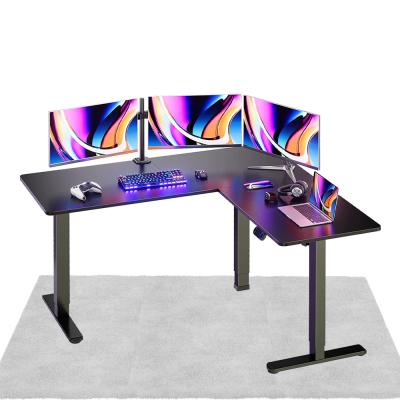 China Ergonomic Electric L Shaped Standing Desk With Dual Motor Memory Setting Operation Panel for sale