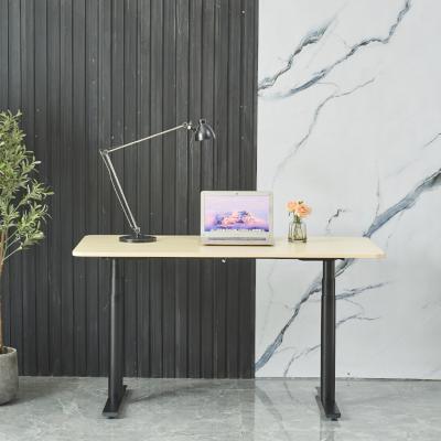 China Escritório Dual Motor Elétrico Sit Stand Desk com Design Moderno e Grão de Madeira Personalizado à venda