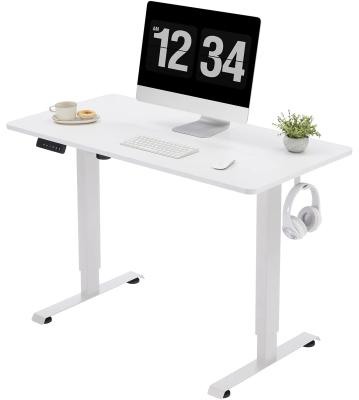 China Wood Style Electric Lifting Desk 1000x600mm Height Adjustable Standing Desk with Hook for sale