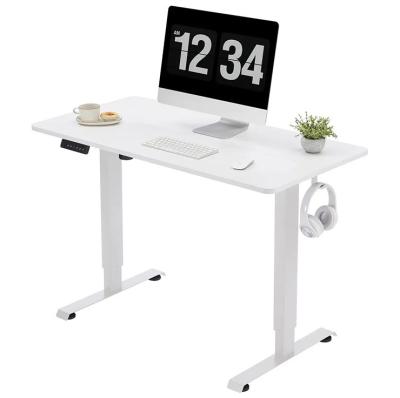 China Metal Single Motor Adjustable Standing Desk Stand up Mechanism Height Modern School Desk for sale