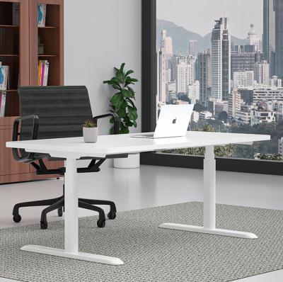 China Customizable Dual Motor White Electric Standing Desk for Minimalist Office Furniture for sale