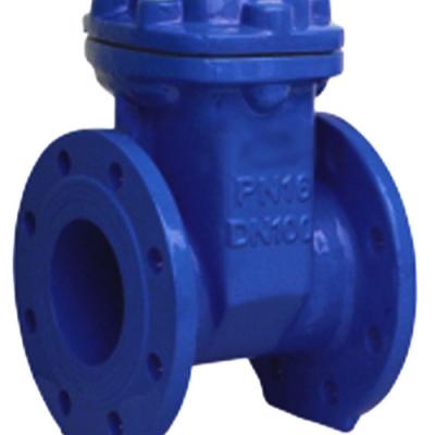 China Items DN100 Non-Standard Rubber Soft Ductile Iron Flanged Seal Ends Gate Valve 2 Buyers for sale