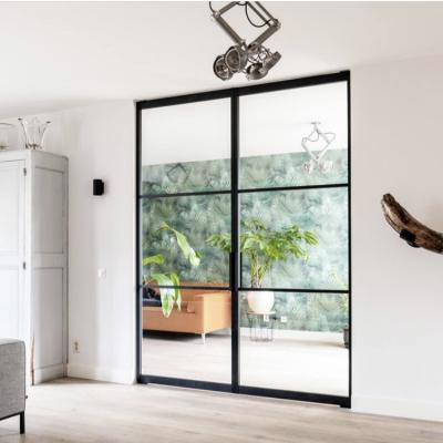 China New Modern Design Pivot Front Door With Big Panel Aluminum Glass And Hot Sale Tempered Glass for sale