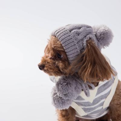 China Winter Sustainable Warm Flip Knitted Dog Hat Pet Hat S M Dog Accessories For Lovely Puppy for sale