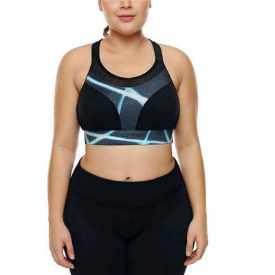 China Custom Logo Adjustable Front Zipper Plus Size Breathable Plus Size With Top Chest Pad Crop Gym Fitness Yoga Sports Bra Yoga Top Vest for sale