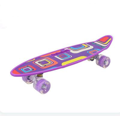 China Mini Skateboard Deck Cruiser 22.5 Inch Youth Fish Skateboard Flashing Wheels for sale