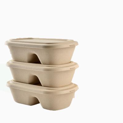 China Compostable Biodegradable Within 90 Days Hot Sale Factory Direct To Go Bento Box With Lid Disposable Food Containers Wholesale for sale