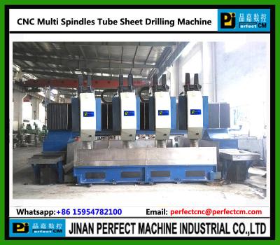 China Multi Spindles CNC High Speed Tube Sheet Drilling Machine (Model PHD5050-4) for sale