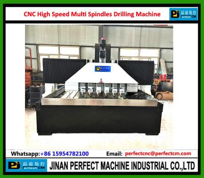 Китай CNC High Speed Multi Spindles Drilling Machine for Step Holes, Taper Holes, Milling Groove Sieve holes, Vibration Sieve продается