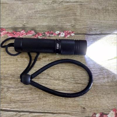 China 18650 Powered 5 Light Mode 550Lms CREE R5 LED Waterproof underwater Diving Flashlight Dive Torch light 100M Underwater for sale