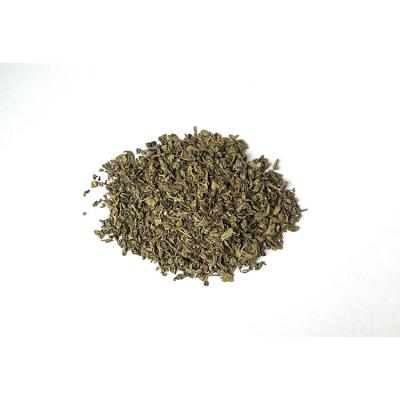 China Loose leaf tea factory supply fresh and pure green tea for packing tightly for sale