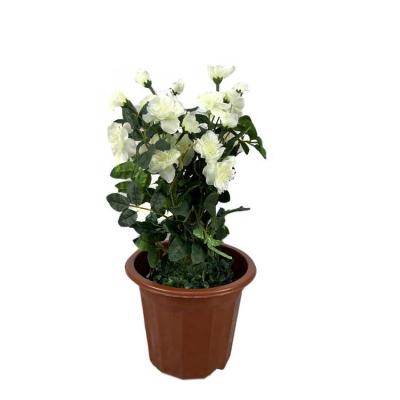 China Cheap Plastic Flowerpot Modern Simple Garden Chandelier Cylinder Style Flower Pots Bonsai Pots Maceta Green Picture for sale