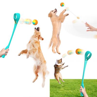 China New Amazon Success Pet Products Viable Toy Ball Pet Supplies Interactive Training Flypeak Toy Dog Pet Toys For Dogs for sale