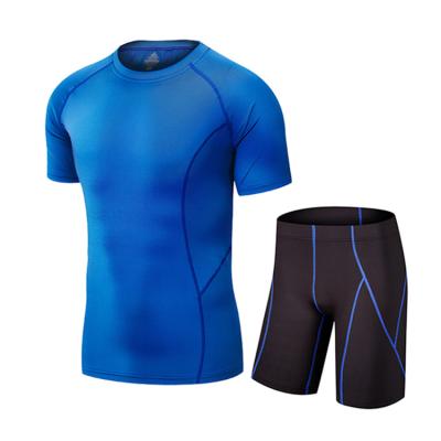 China Breathable Wholesale Gym Clothing Muscle Fit T Shirt Sports Fitness Mens Active Wear Set en venta