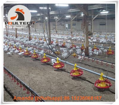 China United Kingdom Poultry Farm Broiler Floor Raising System & Meat Chicken Deep Litter System with Automatic Feeding Lines for sale