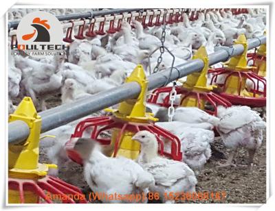 China Romania Poultry Farming Automatic Broiler Chicken Birds Ground Rearing System & Chicken Broiler Floor Raising System for sale