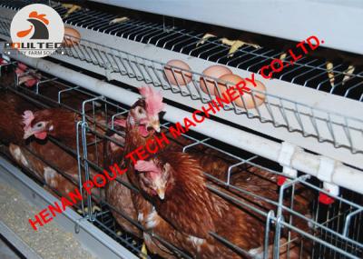 China Hot Galvanized Cage Chicken Farm A Type Battery Layer Chicken Cage with Automatic Feeding & Drinking System with120 Bird for sale