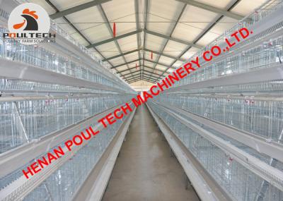 China Poultry Farm A Type Automatic Layer Cage & Chicken Coop & Chicken Cage with Automatic Manure Clean Machine in Bird House for sale