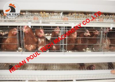 China Poultry Farm Automatic Egg Chicken Cage and Chicken Coop Equipment with 90-200 Birds with Feeding Machine for sale