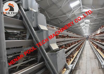 China Poultry Farming A Type Battery Layer Chicken Cage Equipment with 120 Birds Hot Galvanized Chicken Cage for sale