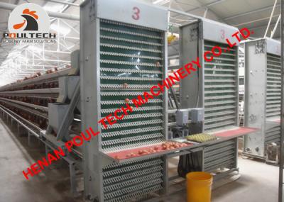 China Chicken Farm Hot Galvanized Chicken Cage & A Type Automatic Layer Chicken Cage with 90-200 birds for Poultry House for sale