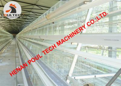 China Poultry Farming A Type Automatic Egg Chicken Cage & Layer Cage & Chicken Coop with 90 Birds with Automatic Feed Machine for sale