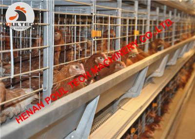 China Estonia Poultry Farm Battery Egg Chicken Cage & H Frame Layer Chicken Cage with 50,000 Birds with Automatic Feed Machine for sale