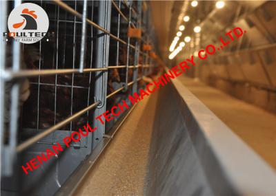 China Latvia Poultry Farm Equipment Automatic H Type Chicken Cage & Battery Layer Cage with 60000 Birds for Egg Production for sale