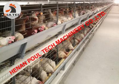 China Uzbekistan Poultry Farm Equipment Full Automatic H Type Chicken Cage & H Frame Layer Cage to Increase Egg Production for sale